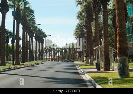 Las Vegas, Vereinigte Staaten. November 2023. 14. November 2023, Las Vegas Street Circuit, Las Vegas, FORMEL 1 HEINEKEN SILVER LAS VEGAS GRAND PRIX 2023, abgebildete Straße in Las Vegas Credit: dpa/Alamy Live News Stockfoto