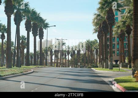 Las Vegas, Vereinigte Staaten. November 2023. 14. November 2023, Las Vegas Street Circuit, Las Vegas, FORMEL 1 HEINEKEN SILVER LAS VEGAS GRAND PRIX 2023, abgebildete Straße in Las Vegas Credit: dpa/Alamy Live News Stockfoto