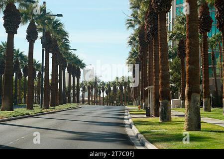 Las Vegas, Vereinigte Staaten. November 2023. 14. November 2023, Las Vegas Street Circuit, Las Vegas, FORMEL 1 HEINEKEN SILVER LAS VEGAS GRAND PRIX 2023, abgebildete Straße in Las Vegas Credit: dpa/Alamy Live News Stockfoto