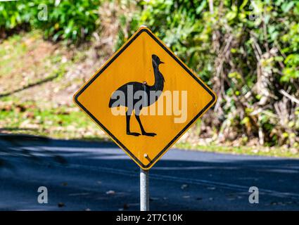 Ein Straßenschild, das vor Cassowary warnt. Queensland, Australien. Stockfoto