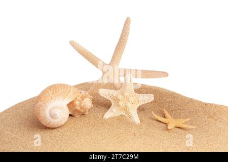 Sand mit vielen schönen Meeressternen und Muscheln isoliert auf weiß Stockfoto