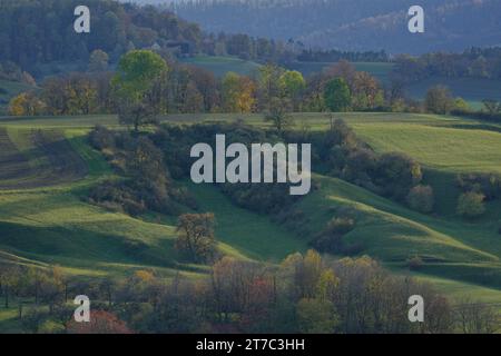 Herbst am Fuße der Limpurg, Naturpark Schwäbisch-Fränkischer Wald, Schwäbisch Hall, Hohenlohe, Heilbronn-Franken Stockfoto