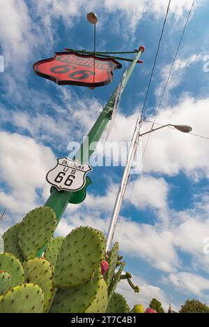 Schild, Schild, Straßenlaterne, Cactus, Route 66, Oklahoma, USA Stockfoto