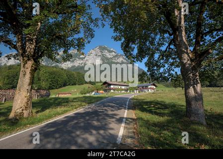 Landschaft am Hintersee, Einzelbetrieb an der Landstraße, Ramsau, Nationalpark Berchtesgaden, Berchtesgadener Land, Bayern, Deutschland Stockfoto