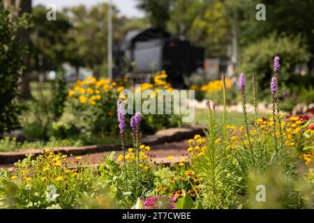 Flache Tiefenansicht der Blumen in einem Park in der Innenstadt von Arkansas City, Kansas, USA. Stockfoto