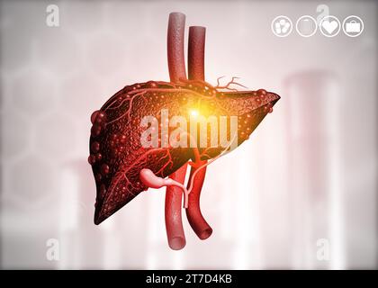 Erkrankte menschliche Leber auf wissenschaftlichem Hintergrund. 3D-Abbildung Stockfoto