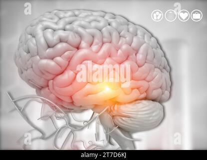 Menschliches Hirnanatomiediagramm auf medizinischem Hintergrund. 3D-Abbildung Stockfoto