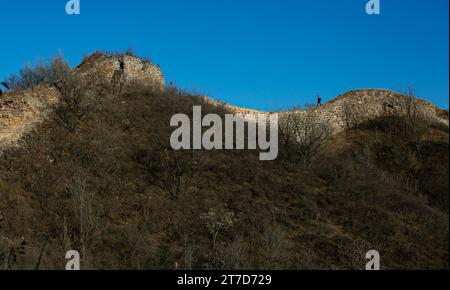 Peking, China. November 2023. Ein Tourist besucht am 14. November 2023 die Chinesische Mauer von Gubeikou in Peking, der Hauptstadt Chinas. Quelle: Li Jing/Xinhua/Alamy Live News Stockfoto