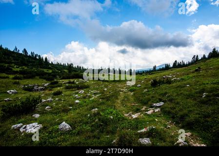 alpines Schutzgebiet am Mount Ortigara, dem Theater des Ersten Weltkriegs, zwischen grünen Feldern und Weidewiesen auf dem atypischen Asiago-Plateau Vicenza Veneto Stockfoto