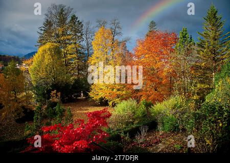 DE - BAYERN: Letzter Sommerwein (private Herbstgartenszene entlang der Isar, Bad Toelz, Oberbayern) Stockfoto