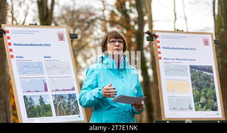 Niedernhausen, Deutschland. November 2023. Priska Hinz (Allianz 90/die Grünen), Hessische Ministerin für Umwelt, Klimaschutz, Landwirtschaft und Verbraucherschutz, spricht bei der Vorstellung des Waldzustandsberichts 2023 bei Niedernhausen im Taunus. Hessens Wälder sind immer noch in sehr schlechtem Zustand. Quelle: Sascha Lotz/dpa/Alamy Live News Stockfoto
