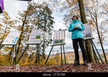 Niedernhausen, Deutschland. November 2023. Priska Hinz (Allianz 90/die Grünen), Hessische Ministerin für Umwelt, Klimaschutz, Landwirtschaft und Verbraucherschutz, spricht bei der Vorstellung des Waldzustandsberichts 2023 bei Niedernhausen im Taunus. Hessens Wälder sind immer noch in sehr schlechtem Zustand. Quelle: Sascha Lotz/dpa/Alamy Live News Stockfoto