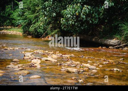 Ein flacher Fluss im malaysischen Nationalpark ist voller Felsen im tropischen Dschungel. Stockfoto