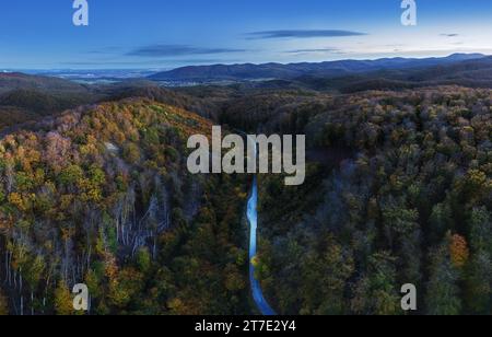 Luftaufnahme des Waldes mit roten Bäumen auf dem Berg im Herbst in der Slowakei. Farbenfrohe Landschaft. Blick von oben von der Drohne bei Nacht. Stockfoto