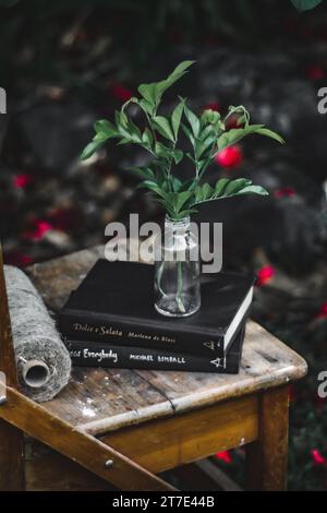 Ein Holzstuhl mit Büchern, die ordentlich darauf gestapelt sind, und eine Glasvase mit einem bunten Blumenstrauß auf einem Stapel Bücher Stockfoto