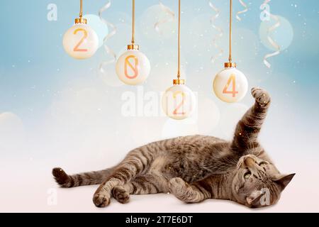 Die Tabbykatze hat Spaß mit der Nummer 2024 in einem Weihnachtsball. Feiern Sie das Neujahrsfest als Dekoration auf einer Party oder als Hintergrund. Stockfoto