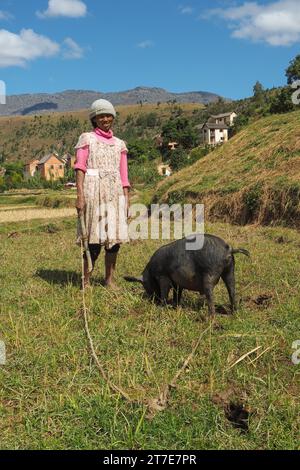 Madagaskar, Antsirabe, Région des Hautes Terres, Femme malgache et Son cochon Stockfoto