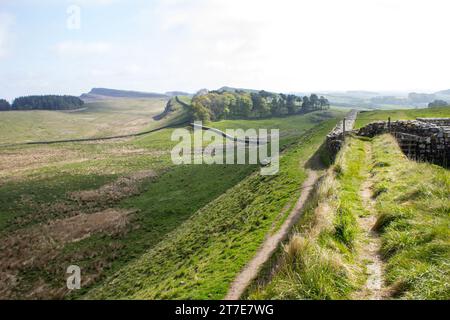 Blick entlang der Ruinen der Hadriansmauer, wo sie in der Ferne verschwindet Stockfoto