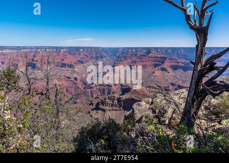 Blick auf den Grand Canyon, Arizona von einem Aussichtspunkt in der Nähe von Yaki Point im Frühling Stockfoto