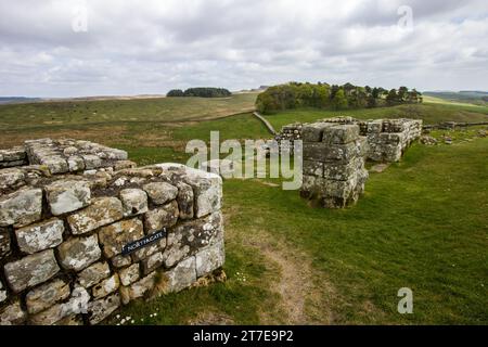 Blick entlang der Hadriansmauer, mit der Ruine einer Festung im Vordergrund Stockfoto