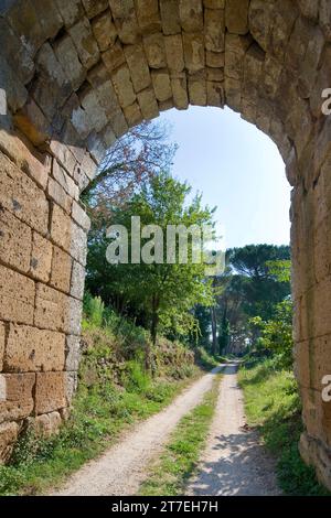 Ruinen von Falerii Novi. Bringt Giove. Fabrik in Rom. Latium. Italien Stockfoto