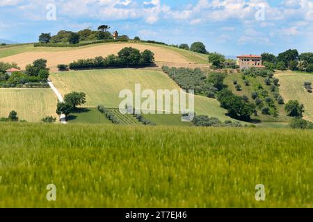 Frühlingslandschaft. Montecassiano. Marken. Italien Stockfoto