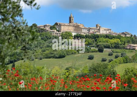 Frühlingslandschaft. Montecassiano. Marken. Italien Stockfoto