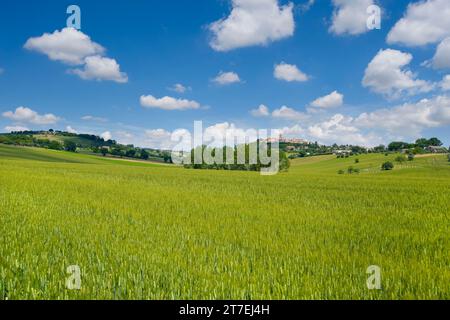 Frühlingslandschaft. Montecassiano. Marken. Italien Stockfoto