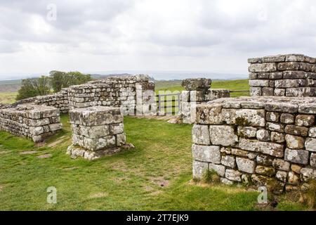 Alte römische Ruinen entlang der Hadriansmauer im Northemberland-Nationalpark in Nordengland. Stockfoto