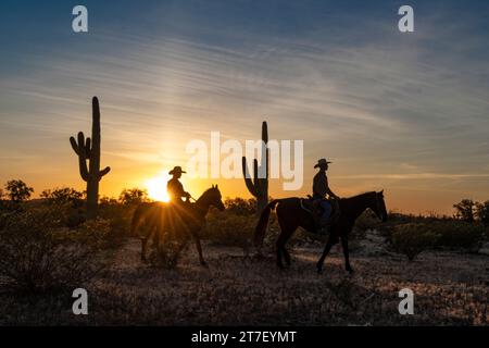 Hunter Cooley und Zach Libby reiten bei Sonnenuntergang, White Stallion Guest Ranch, Marana, Arizona Stockfoto