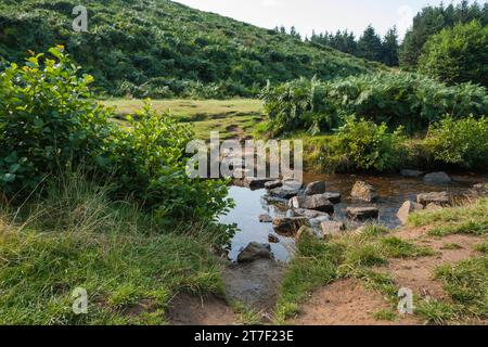 Ein malerischer Blick auf die Back- und Waldgebiete bei Sheepwash bei Osmotherly, North Yorkshire, England, Großbritannien Stockfoto