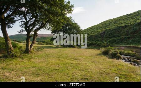 Ein malerischer Blick auf die Back- und Waldgebiete bei Sheepwash bei Osmotherly, North Yorkshire, England, Großbritannien Stockfoto