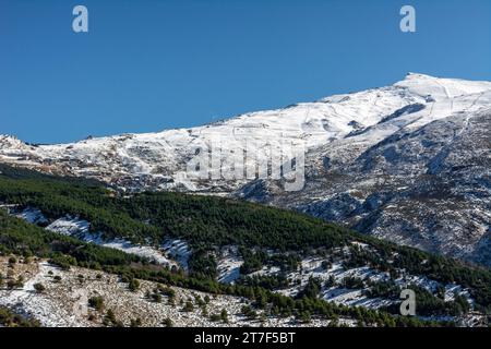 Panoramablick auf das Skigebiet in der sierra nevada, Skifahrer entlang der Pisten, Stockfoto