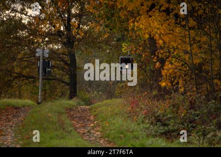 Eisenbahnüberquerung mit Weg im Herbstwald in der Nähe der Stadt Bludov in Nordmähren Stockfoto