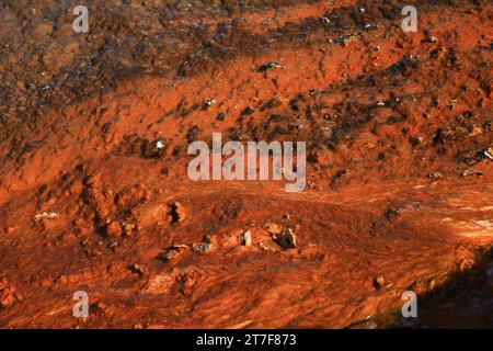 Details zum Grand Prismatic Spring im Yellowstone-Nationalpark Stockfoto