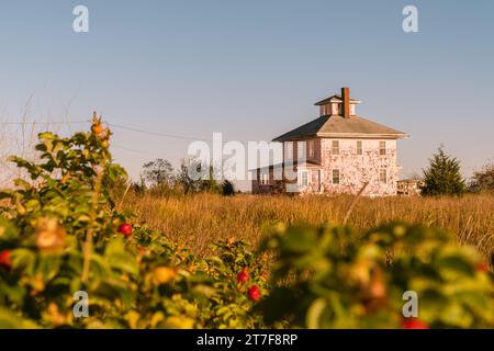 Verlassenes Pink House in der Nähe von Plum Island und Newburyport Stockfoto