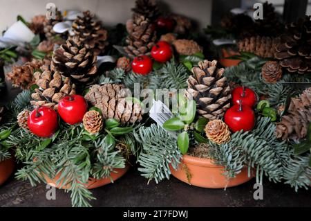 Kopenhagen, Dänemark /15. November 2023/. Blumen und Pflanzen für Christbaumschmuck zum Verkauf in der dänischen Hauptstadt. (Photo.Francis Joseph Dean/Dean Pictures) Stockfoto