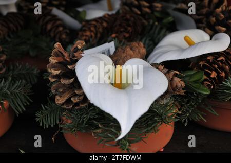 Kopenhagen, Dänemark /15. November 2023/. Blumen und Pflanzen für Christbaumschmuck zum Verkauf in der dänischen Hauptstadt. (Photo.Francis Joseph Dean/Dean Pictures) Stockfoto