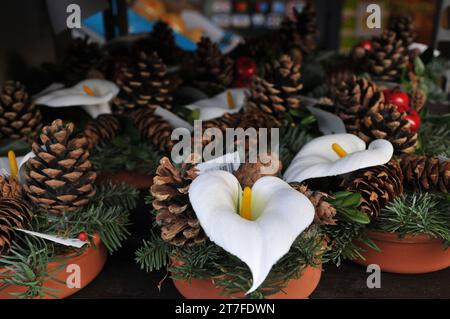 Kopenhagen, Dänemark /15. November 2023/. Blumen und Pflanzen für Christbaumschmuck zum Verkauf in der dänischen Hauptstadt. (Photo.Francis Joseph Dean/Dean Pictures) Stockfoto