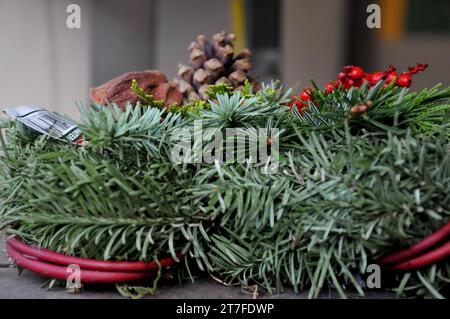 Kopenhagen, Dänemark /15. November 2023/. Blumen und Pflanzen für Christbaumschmuck zum Verkauf in der dänischen Hauptstadt. (Photo.Francis Joseph Dean/Dean Pictures) Stockfoto