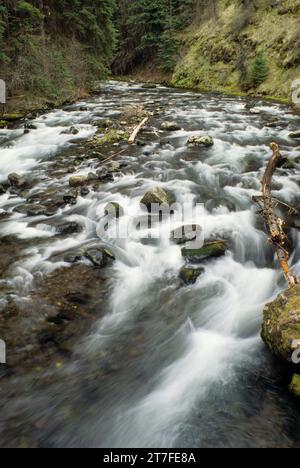 Bear Creek, Wallowa-Whitman National Forest, Oregon Stockfoto