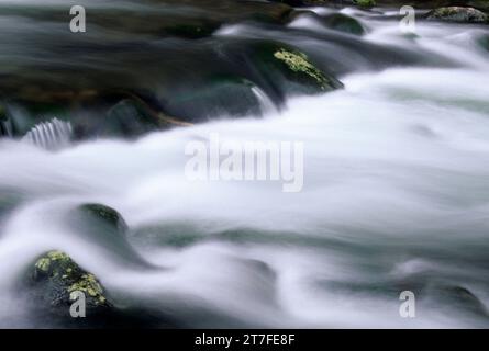 Bear Creek, Wallowa-Whitman National Forest, Oregon Stockfoto