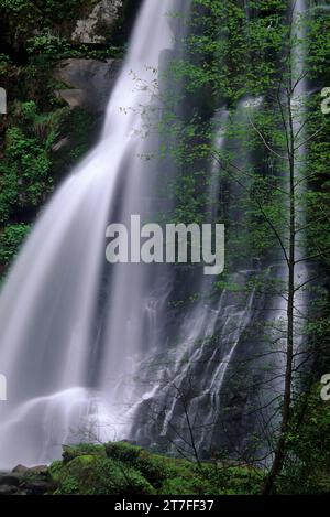 Elk Creek Falls, Siskiyou National Forest, Oregon Stockfoto