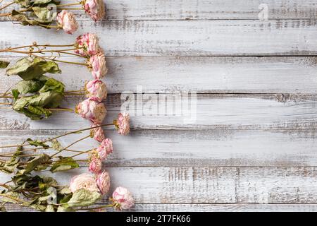 Getrocknete Rosenzweige auf hellem Holzhintergrund, Draufsicht mit Platz für Text. Der Begriff Einsamkeit oder Alter. Unglückliche Liebe. Ein Verlust. Traurigkeit. Stockfoto