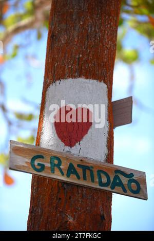 Hölzerne Schilder geschrieben Glück Liebe in portugiesischer Botschaft gute Dankbarkeit gute Vibes Frieden Stockfoto