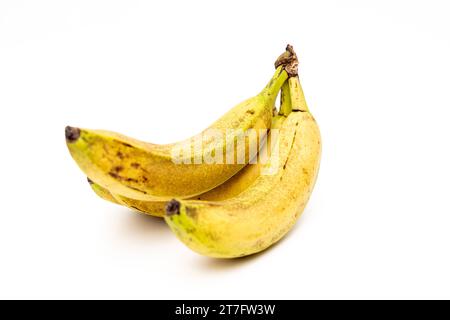 Augsburg, Bayern, Deutschland - 15. November 2023: Reife gepunktete Bananen vor weißem Hintergrund *** reife fleckige Bananen freigestellt vor weißem Hintergrund Credit: Imago/Alamy Live News Stockfoto