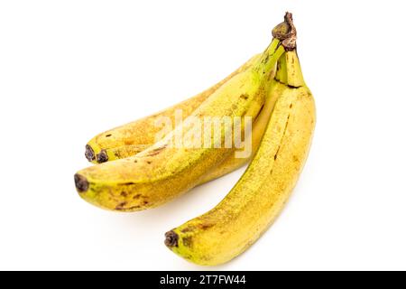 Augsburg, Bayern, Deutschland - 15. November 2023: Reife gepunktete Bananen vor weißem Hintergrund *** reife fleckige Bananen freigestellt vor weißem Hintergrund Credit: Imago/Alamy Live News Stockfoto