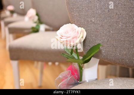 Einzelne rosa Rose auf einem Stuhl im Gang als Hochzeitsdekoration Stockfoto