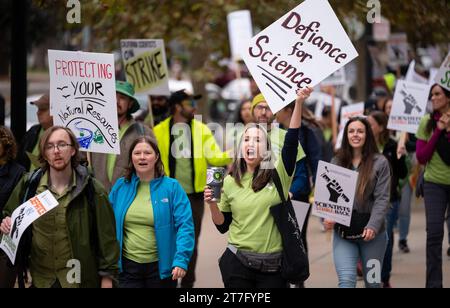 Sacramento, CA, USA. November 2023. Mitglieder der California Association of Professional Scientists veranstalten am Mittwoch, den 15. November 2023 in Sacramento den ersten Streik von Staatsbeamten im Cal/EPA-Gebäude. Nach drei Jahren erfolgloser Verhandlungen, gefolgt von einer Sackgasse-Erklärung und Vermittlungsgesprächen, die California Association of Professional Scientists führt vom 15. bis 17. November einen dreitägigen Streik durch. (Kreditbild: © Paul Kitagaki Jr./ZUMA Press Wire) NUR REDAKTIONELLE VERWENDUNG! Nicht für kommerzielle ZWECKE! Stockfoto