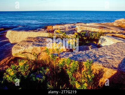 Der Heilbutt Point State Park von Rockport, Massachusetts Stockfoto